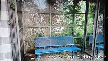 Kein guter Anblick - Fahrgast nennt Mängel am Balinger Busbahnhof - Schwarzwälder Bote