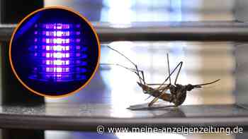 Kaufland-Rückruf: Insektenvernichter kann für Verbraucher zur Gefahr werden