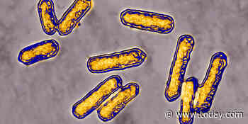 Ice cream brand identified as possible source of deadly listeria outbreak, CDC says