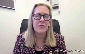 Highland Park mayor says she was Cub Scout leader for person of interest in July 4 shooting