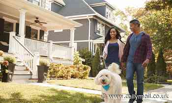 Neighborhood with more dogs have lower levels of crime, study finds