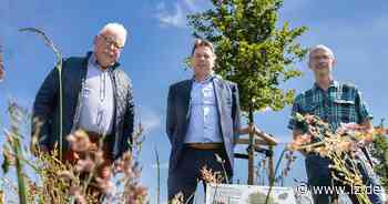 Rotbuche als neuester Nachwuchs auf Detmolder Baumlehrpfad - Lippische Landes-Zeitung