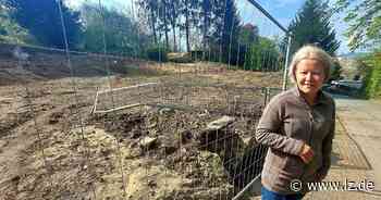 Stadt Detmold will Ästhetik vor Abriss schützen - Lippische Landes-Zeitung