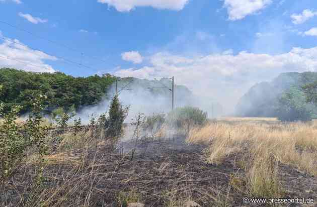 FW Lehrte: Ausgedehnten Waldbrand verhindert: Ehrenamtliche Einsatzkräfte aus dem Stadtgebiet Lehrte bekämpfen rund 10 Einsatzstellen mit mehreren 1000 qm Fläche gleichzeitig.