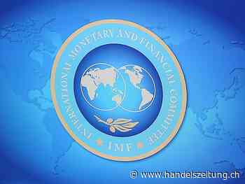 Bankrottes Sri Lanka rechnet mit schwerer Krise bis ins Jahr 2023