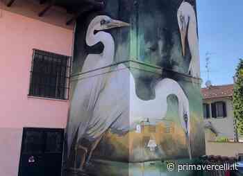 Street art: a Rive decorata una cabina Enel - Prima Vercelli