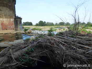 Fiumi sporchi: dopo l'allarme di Notizia Oggi Vercelli interviene Tiramani - Prima Vercelli