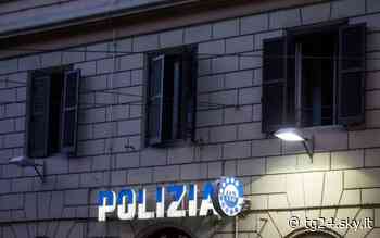 Ruba rame in una scuola, arrestato dalla polizia a Torino - Sky Tg24