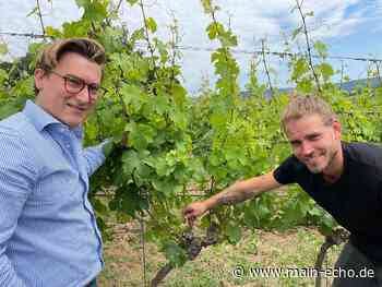 Weine aus Wörth mit eigenem Stil: Junges Team um Rasso-Philipp von Hünersdorff - Main-Echo