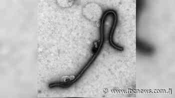 Ministry monitors Ebola and other viruses – FBC News - FBC News
