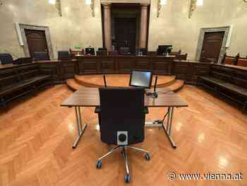 Ibiza-Video: Anklage gegen Rechtsanwalt Ramin M. - VIENNA.AT - Alles über Wien