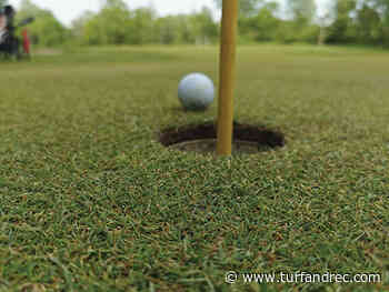 Saskatoon golf course celebrates its 60th anniversary with fresh-looking grounds - Turf & Rec