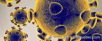 Le système immunitaire impliqué dans les dégâts cérébraux liés à la COVID-19
