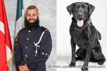 Newest Metro Vancouver Transit Police K9s named after 2 late officers - Comox Valley Record