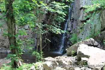 Middletown police hope $25,000 reward will help solve killing of New Britain mother - Middletown Press