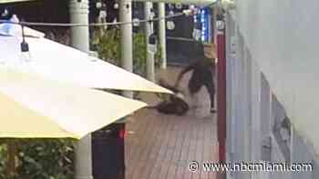 Suspect in Multiple Violent Robberies in Fort Lauderdale, Broward Arrested: Police