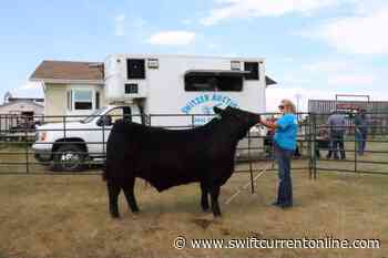 Frontier Days is always a big event for 4-H members - SwiftCurrentOnline.com