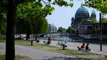 Messerstiche und Körperverletzungen: Berliner Polizei wieder im James-Simon-Park im Einsatz - Tagesspiegel