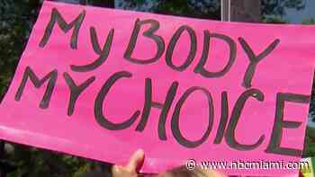 Video Shows 13-Year-Old Girl Arrested During Florida Abortion Rights Protest