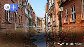 Hochwasserschutz für Lauenburg: Denkmalpflege soll mehr Personal bekommen - Lübecker Nachrichten