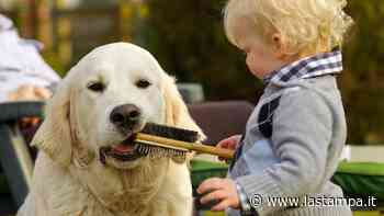 Marco e il cane Ares, e la riscoperta del vasino - La Stampa