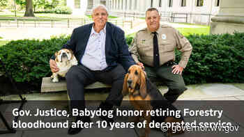 Gov. Justice, Babydog honor retiring Forestry bloodhound after 10 years of decorated service - Governor Jim Justice
