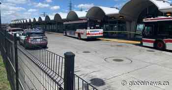 Woman lit on fire aboard Toronto transit bus dies of injuries: police