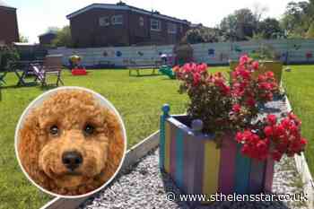 Newton-le-Willows Community Centre to host first dog show - St Helens Star