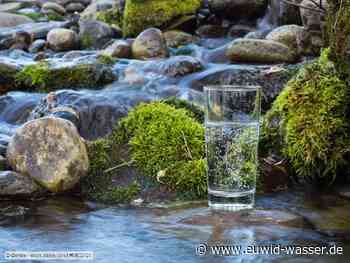 Trinkwasserversorgung für Gernsbach neu geordnet - EUWID Wasser und Abwasser