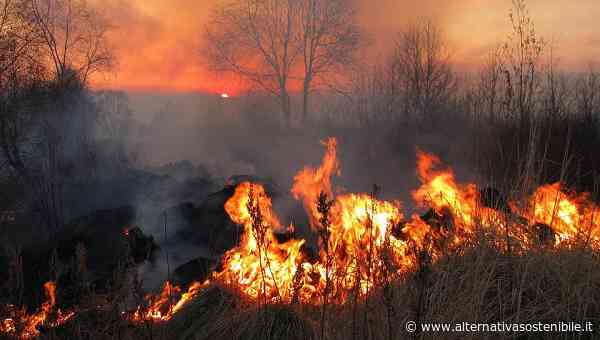 Ispra: incendi, nel 2021 bruciati in Italia il triplo degli ettari del 2020 - Alternativa Sostenibile