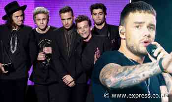 One Direction Liam Payne 'hated' band member - 'He was wild' - Express