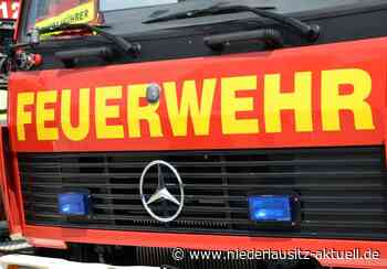 Cottbus: Feuerwehr zu Laubenbrand in Saspow alarmiert - NIEDERLAUSITZ aktuell