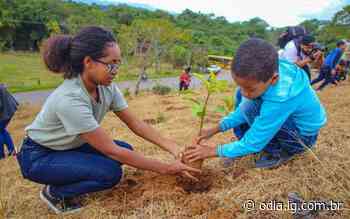 Estudantes de Cachoeiras de Macacu participam de reflorestamento - O Dia