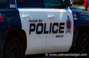 Bear Spray Assault on South-Side of Thunder Bay - Net Newsledger