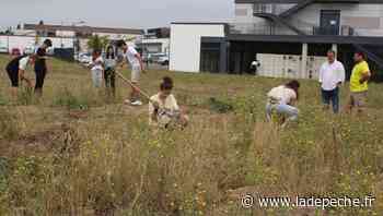 Montech. Journée environnement au lycée Olympe-de-Gouges - LaDepeche.fr