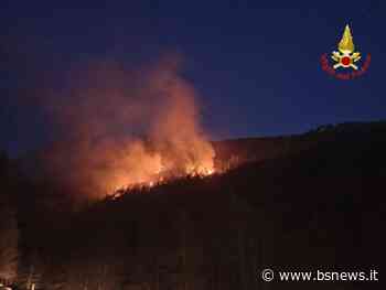 Fiamme nella notte sulle colline del Garda, Vigili del fuoco al lavoro - Bsnews.it