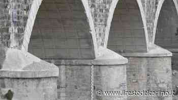 Siccità, sul greto del Panaro cresce l’erba "Ogni estate la situazione peggiora" - il Resto del Carlino