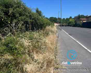 SEI TU IL REPORTER - "Per favore tagliate l'erba in via Fratelli Tizi" - Rietinvetrina