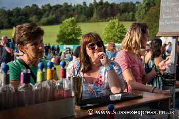 The UK's biggest gin festival returns to Mid Sussex this Saturday – here's all you need to know - SussexWorld