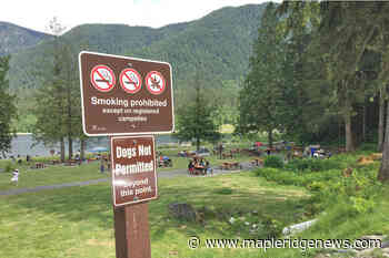 Busy long weekend at Golden Ears and Rolley Lake Provincial Parks – Maple Ridge News - Maple Ridge News