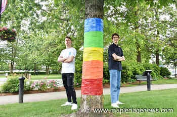 Rainbow coloured trees downtown Maple Ridge for Pride month - Maple Ridge News
