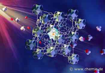 Gefunden: Der "Heilige Gral der Katalyse"