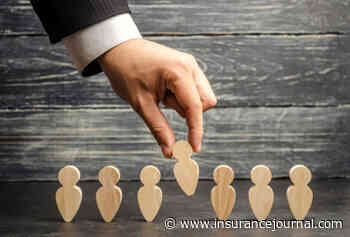 People Moves: BMS Promotes Gormley to UK CEO; Schepers Named Head of WTW Insurance Consulting and Technology as Underwood Retires - Insurance Journal