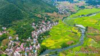 Chinas „Forst-Leiter“-Mechanismus fördert Schutz der Wälder in Hunan - Radio China International