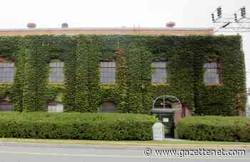 Amherst Media finds temporary home on University Drive - GazetteNET