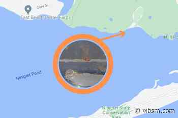 Clinging Jellyfish Warning Issued by Rhode Island DEM - wbsm.com