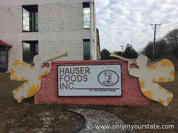 The Chocolate Shop In Rhode Island Where You’ll Find Dozens Of Tasty Varieties - Only In Your State