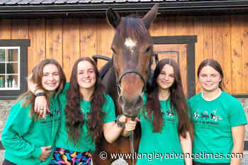 Aldergrove equestrian vaulter to compete at BC Summer Games – Langley Advance Times - Langley Advance Times