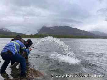 Micro fish hatcheries built in shipping containers help salmon recover - The Globe and Mail