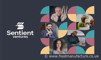 £30m fund launches to support best alternatives to animal products